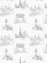 Load image into Gallery viewer, Grey Paris Clay Coated Wallpaper