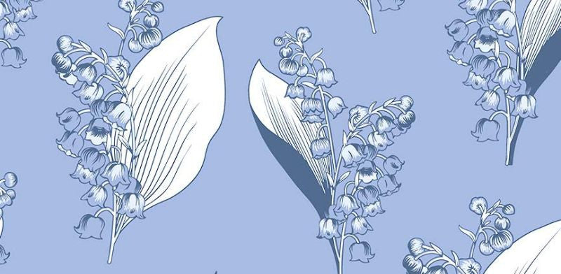 Blue Lily-of-the-Valley