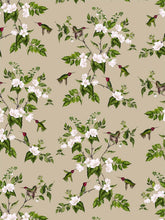 Load image into Gallery viewer, Tan Hummingbird Clay Coated Wallpaper
