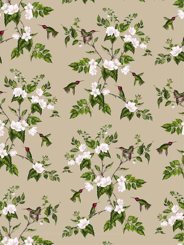 Tan Hummingbird Clay Coated Wallpaper