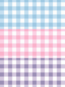 Gingham Bundle: Pajamas + White French Terry Robe